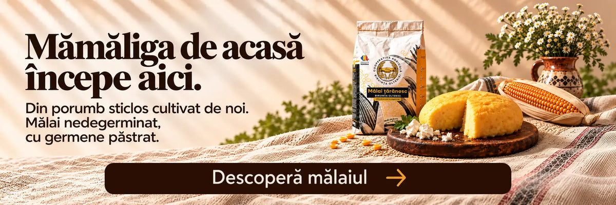 Malai taranesc de la Biruinta Olteniei Banner Desktop