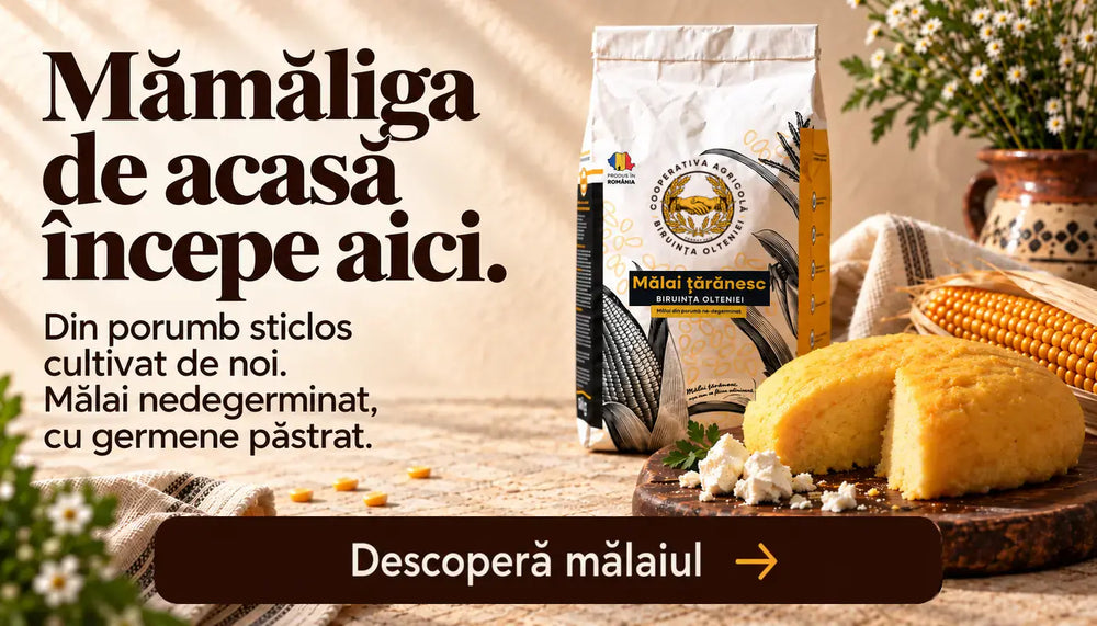Malai taranesc de la Biruinta Olteniei Banner Mobil